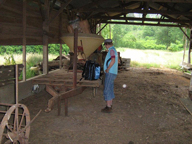 schuilen voor onweer.jpg - Foto gemaakt in die oude schuur. Buiten regende het even fors.